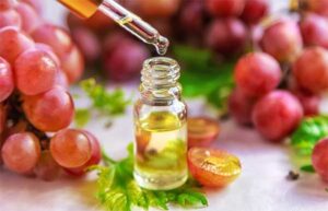 Health Canada's Approval of Grape Seed Extract in Foods